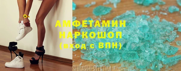 прущие грибы Горнозаводск