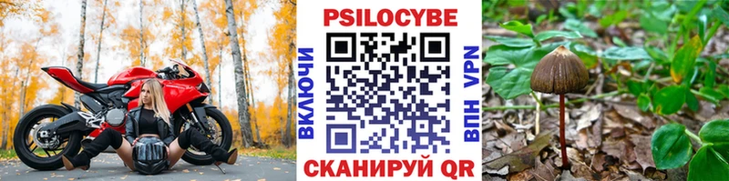 закладки  кракен вход  Галлюциногенные грибы Psilocybe  Ноябрьск 